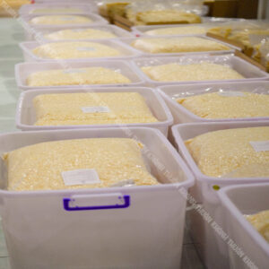 Cơm cháy hạt rời