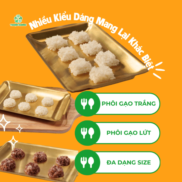 Cách Làm Cơm Cháy Trộn Xoài, Món Ngon Khuấy Đảo Vị Giác