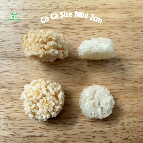 Cách Làm Cơm Cháy Trộn Xoài, Món Ngon Khuấy Đảo Vị Giác
