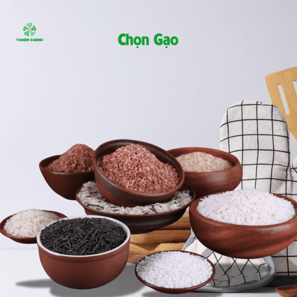 Cách Nấu Cơm Ngon – Bí Quyết Mới 2026