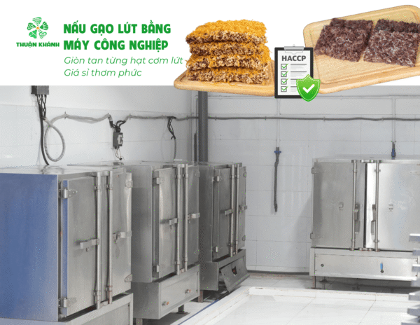 Cách làm cơm gạo lứt sấy giòn rụm tại nhà