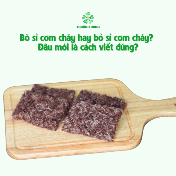 Bò sỉ cơm cháy hay bỏ sỉ cơm cháy? Đâu mới là cách viết đúng?