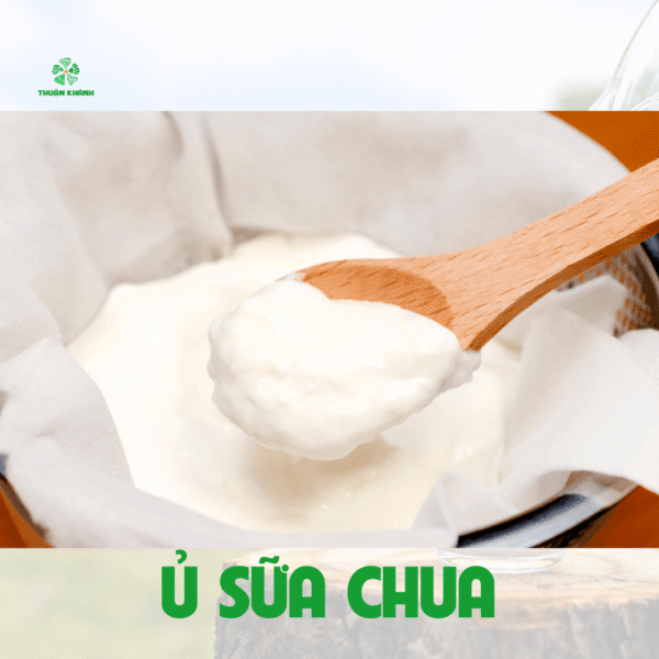 Làm sữa chua cốm – Món tráng miệng thanh mát, dễ làm tại nhà