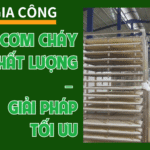 Dịch Vụ Gia Công Cơm Cháy Chất Lượng – Giải Pháp Tối Ưu Tại Thuận Khánh
