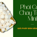 Phôi Cơm Cháy Tròn Mini – Giải Pháp Bán Hàng Bền Vững