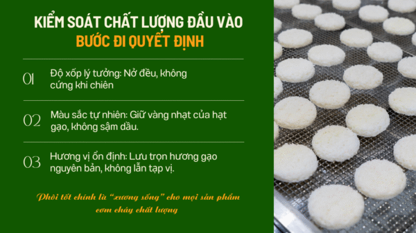 Phôi Cơm Cháy Tròn Mini – Giải Pháp Bán Hàng Bền Vững