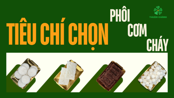 Tiêu Chí Chọn Phôi Cơm Cháy: 5 Yếu Tố Vàng Tối Ưu Sản Xuất