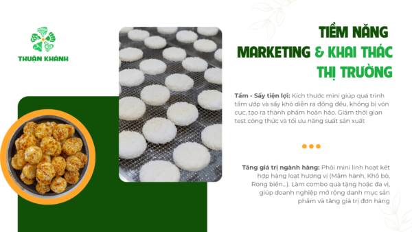 Phôi Tròn Mini – Nguồn Sỉ Chất Lượng Cao