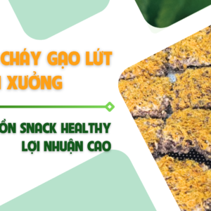 Sỉ Cơm Cháy Gạo Lứt – Nguồn Snack Healthy Lợi Nhuận Cao