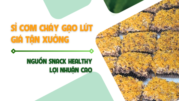 Sỉ Cơm Cháy Gạo Lứt – Nguồn Snack Healthy Lợi Nhuận Cao