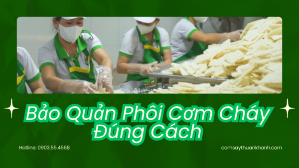 Bảo Quản Phôi Cơm Cháy Đúng Cách