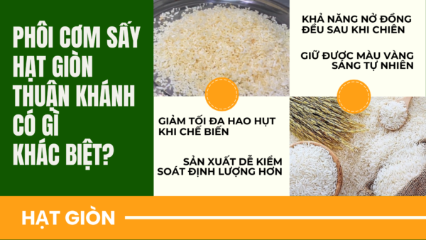 Phôi cơm sấy hạt giòn Thuận Khánh | Nguyên liệu dễ chiên, nở đều