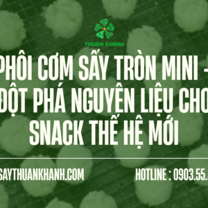Phôi Cơm Sấy Tròn Mini – Đột Phá Nguyên Liệu Cho Snack Thế Hệ Mới