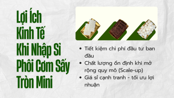 Phôi Cơm Sấy Tròn Mini – Đột Phá Nguyên Liệu Cho Snack Thế Hệ Mới