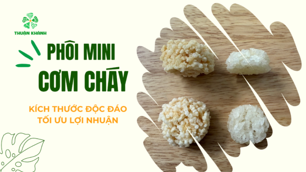 Phôi mini cơm cháy Thuận Khánh | Kích thước độc đáo, tối ưu lợi nhuận