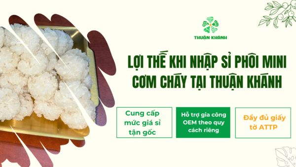 Phôi mini cơm cháy Thuận Khánh | Kích thước độc đáo, tối ưu lợi nhuận