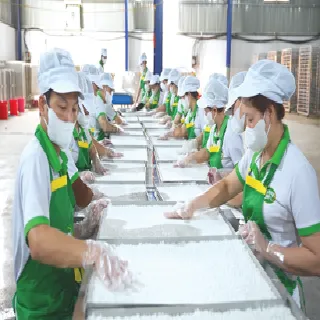 Vietnamese Rice Cracker Manufacturer 1 Catalouge cơm cháy