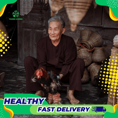 Gà Ăn Cơm Thừa Có Tốt Không? Cách Cho Gà Ăn Cơm Thừa Đúng Cách 5 Gà Ăn Cơm Thừa Có Tốt Không? Cách Cho Gà Ăn Cơm Thừa Đúng Cách