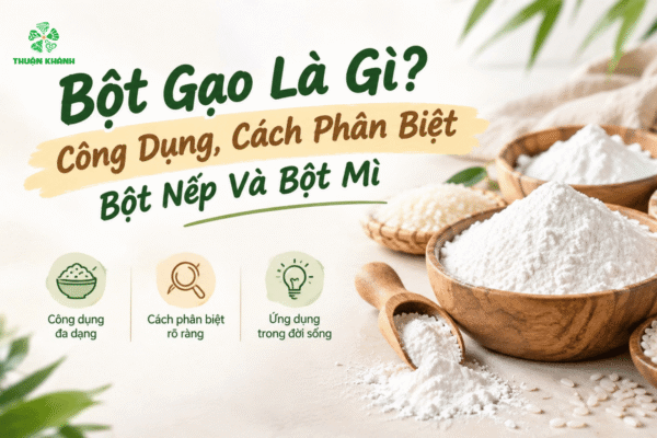 Bột Gạo Là Gì? Công Dụng, Cách Phân Biệt Bột Nếp Và Bột Mì