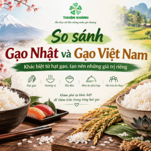 So sánh gạo Nhật và gạo Việt Nam: Khác biệt từ hạt gạo đến bát cơm