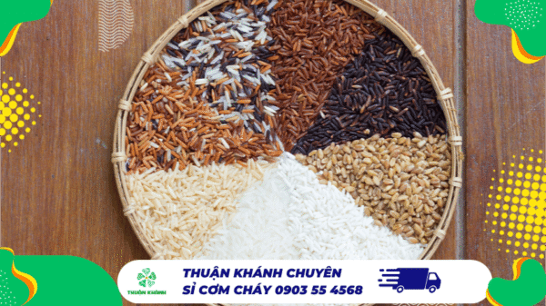 Gạo Lứt Chiên Cơm Được Không? 7 Mẹo Chiên Cơm Gạo Lứt Tơi Ngon