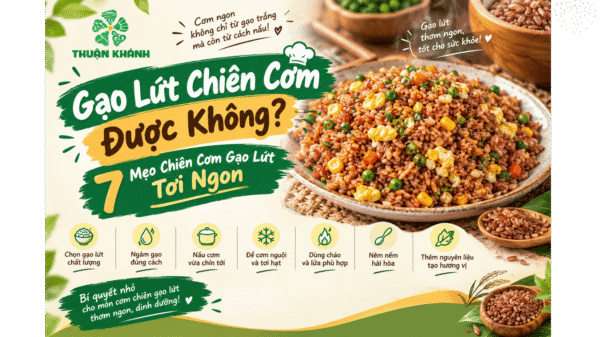 Gạo Lứt Chiên Cơm Được Không? 7 Mẹo Chiên Cơm Gạo Lứt Tơi Ngon